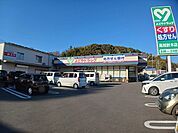 【ドラッグストア】よどやドラッグ高知針木店まで179ｍ