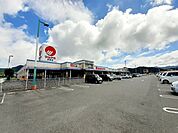 【スーパー】マルナカ 須崎店まで800ｍ