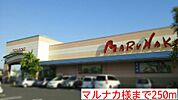 【スーパー】マルナカ様まで250ｍ