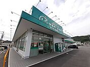 【ドラッグストア】ZAGZAG御津店まで250ｍ