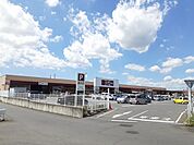【ホームセンター】ジョイフル山新まで750ｍ