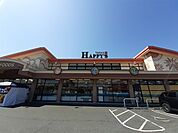 【スーパー】天満屋ハピーズ総社溝口店まで810ｍ