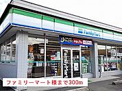 【コンビニエンスストア】ファミリーマート様まで300ｍ