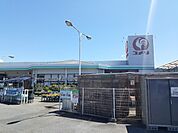 【ホームセンター】コメリさんまで450ｍ