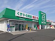 【ドラッグストア】ザグザグ妹尾店まで600ｍ