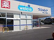 【ドラッグストア】ウエルシア　上河原店様まで500ｍ