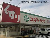 【ドラッグストア】スギドラッグ長森店まで300ｍ