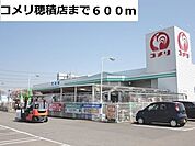 【ホームセンター】コメリ穂積店まで600ｍ