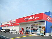 【ドラッグストア】ウェルネス郡家店まで800ｍ