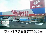 【ドラッグストア】ウエルネス学園まで1000ｍ