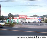 【ドラッグストア】ウエルネス大田中央店まで900ｍ