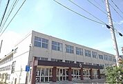 【小学校】朝里小学校まで255ｍ