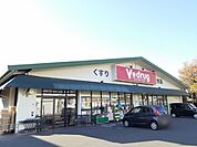 【ドラッグストア】V・drug　江南北店まで350ｍ