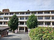 【小学校】八幡浜市立神山小学校様まで900ｍ
