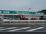 【スーパー】エバグリーン海南店様まで1100ｍ
