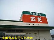 【スーパー】生鮮食品おだまで350ｍ