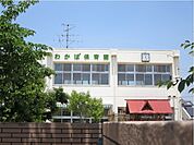 【幼稚園】わかば保育園まで600ｍ