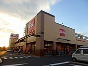 【スーパー】ベルク 八潮鶴ケ曽根店まで1000ｍ
