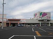 【スーパー】ショッピングタウンエルまで1000ｍ
