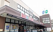 【スーパー】コープ島本店様まで1100ｍ