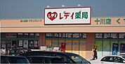 【ドラッグストア】レディ薬局十川店さんまで450ｍ