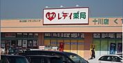 【ドラッグストア】くすりのレディ薬局十川店さんまで700ｍ