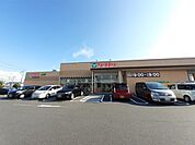 【スーパー】TAIRAYAつくば大穂店まで1100ｍ