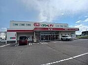 【ドラッグストア】くすりのレディ長尾店さんまで850ｍ