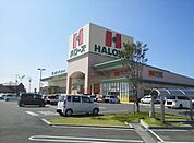 【スーパー】ハローズ観音寺店まで1300ｍ