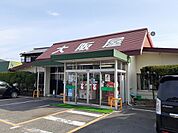 【その他】大阪屋さんまで400ｍ
