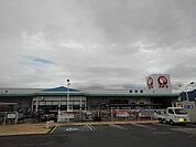【ホームセンター】コメリハード＆グリーン大野原店まで1900ｍ