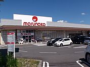【スーパー】マルナカ高瀬店まで800ｍ