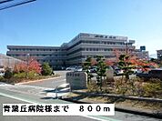【総合病院】青葉丘病院様まで800ｍ