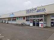 【ドラッグストア】ウエルシア常総石下店まで2720ｍ