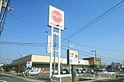 【スーパー】マルヨシセンター木太店さんまで550ｍ