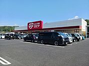 【スーパー】ロピア新市店まで550ｍ