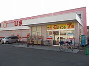 【ドラッグストア】ひまわり空港通店様まで350ｍ