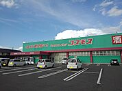 【ドラッグストア】コスモス多度津店まで1600ｍ