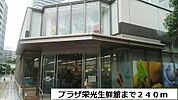 【スーパー】プラザ栄光生鮮館まで240ｍ