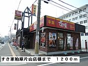 【その他】すき家柏原片山店様まで1200ｍ
