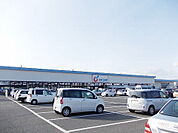 【ドラッグストア】カワチ薬品 富田店まで1900ｍ