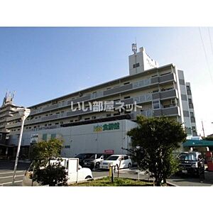 東羽衣小学校の学区 校区の賃貸や中古マンション情報 こそだてオウチーノ 高石市