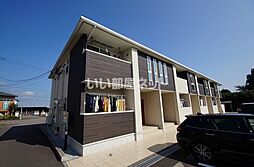 エバーグリーン　綾