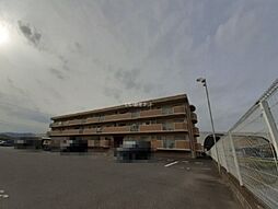 3 / 19