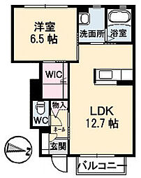 ミューズ 1LDKの間取図画像