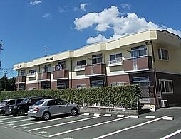 プラムハウス 105