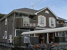 マウントピュアＢ 101