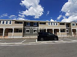 Ｃｏｔｔｏｎ　ｂａｒｌｅｙ