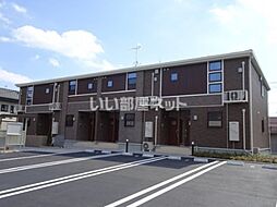 セロシア・アルゲンテア 205