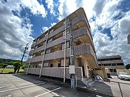 ｃｅｄｒｏ　ｖａｌｌｅ（セドロバーレ） 203